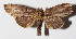  ( - 14-SRNP-31626)  @13 [ ] CreativeCommons  Attribution Non-Commercial Share-Alike (2016) Unspecified Guanacaste Dry Forest Conservation Fund