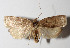  ( - 14-SRNP-3235)  @14 [ ] CreativeCommons  Attribution Non-Commercial Share-Alike (2016) Unspecified Guanacaste Dry Forest Conservation Fund