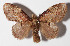  ( - 14-SRNP-3251)  @14 [ ] CreativeCommons  Attribution Non-Commercial Share-Alike (2016) Unspecified Guanacaste Dry Forest Conservation Fund
