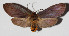  ( - 14-SRNP-3468)  @14 [ ] CreativeCommons  Attribution Non-Commercial Share-Alike (2016) Unspecified Guanacaste Dry Forest Conservation Fund