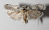  ( - 14-SRNP-3657)  @14 [ ] CreativeCommons  Attribution Non-Commercial Share-Alike (2016) Unspecified Guanacaste Dry Forest Conservation Fund