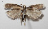  ( - 14-SRNP-3657)  @14 [ ] CreativeCommons  Attribution Non-Commercial Share-Alike (2016) Unspecified Guanacaste Dry Forest Conservation Fund