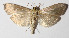  ( - 14-SRNP-3772)  @14 [ ] CreativeCommons  Attribution Non-Commercial Share-Alike (2016) Unspecified Guanacaste Dry Forest Conservation Fund