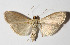 ( - 14-SRNP-3773)  @14 [ ] CreativeCommons  Attribution Non-Commercial Share-Alike (2016) Unspecified Guanacaste Dry Forest Conservation Fund