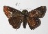  ( - 14-SRNP-3988)  @14 [ ] CreativeCommons  Attribution Non-Commercial Share-Alike (2016) Unspecified Guanacaste Dry Forest Conservation Fund