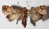  ( - 14-SRNP-40591)  @14 [ ] CreativeCommons  Attribution Non-Commercial Share-Alike (2016) Unspecified Guanacaste Dry Forest Conservation Fund