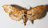  ( - 14-SRNP-41856)  @14 [ ] CreativeCommons  Attribution Non-Commercial Share-Alike (2016) Unspecified Guanacaste Dry Forest Conservation Fund