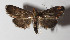  ( - 14-SRNP-4190)  @14 [ ] CreativeCommons  Attribution Non-Commercial Share-Alike (2016) Unspecified Guanacaste Dry Forest Conservation Fund