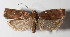  ( - 14-SRNP-42056)  @14 [ ] CreativeCommons  Attribution Non-Commercial Share-Alike (2016) Unspecified Guanacaste Dry Forest Conservation Fund