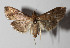  ( - 14-SRNP-42776)  @14 [ ] CreativeCommons  Attribution Non-Commercial Share-Alike (2016) Unspecified Guanacaste Dry Forest Conservation Fund