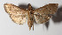  ( - 14-SRNP-43001)  @14 [ ] CreativeCommons  Attribution Non-Commercial Share-Alike (2016) Unspecified Guanacaste Dry Forest Conservation Fund