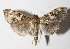  ( - 14-SRNP-43794)  @14 [ ] CreativeCommons  Attribution Non-Commercial Share-Alike (2016) Unspecified Guanacaste Dry Forest Conservation Fund