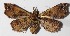 ( - 14-SRNP-44244)  @12 [ ] CreativeCommons  Attribution Non-Commercial Share-Alike (2016) Unspecified Guanacaste Dry Forest Conservation Fund