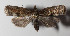  ( - 14-SRNP-44404)  @13 [ ] CreativeCommons  Attribution Non-Commercial Share-Alike (2016) Unspecified Guanacaste Dry Forest Conservation Fund