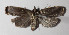  ( - 14-SRNP-44404)  @13 [ ] CreativeCommons  Attribution Non-Commercial Share-Alike (2016) Unspecified Guanacaste Dry Forest Conservation Fund