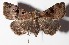  ( - 14-SRNP-44443)  @13 [ ] CreativeCommons  Attribution Non-Commercial Share-Alike (2016) Unspecified Guanacaste Dry Forest Conservation Fund