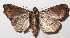  ( - 14-SRNP-44906)  @14 [ ] CreativeCommons  Attribution Non-Commercial Share-Alike (2016) Unspecified Guanacaste Dry Forest Conservation Fund