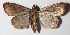  ( - 14-SRNP-44907)  @14 [ ] CreativeCommons  Attribution Non-Commercial Share-Alike (2016) Unspecified Guanacaste Dry Forest Conservation Fund