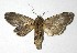 ( - 14-SRNP-46171)  @14 [ ] CreativeCommons  Attribution Non-Commercial Share-Alike (2016) Unspecified Guanacaste Dry Forest Conservation Fund