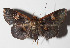  ( - 14-SRNP-46460)  @14 [ ] CreativeCommons  Attribution Non-Commercial Share-Alike (2016) Unspecified Guanacaste Dry Forest Conservation Fund