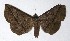  ( - 14-SRNP-46627)  @11 [ ] CreativeCommons  Attribution Non-Commercial Share-Alike (2016) Unspecified Guanacaste Dry Forest Conservation Fund