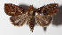  ( - 14-SRNP-47532)  @14 [ ] CreativeCommons  Attribution Non-Commercial Share-Alike (2016) Unspecified Guanacaste Dry Forest Conservation Fund