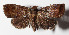  ( - 14-SRNP-47533)  @14 [ ] CreativeCommons  Attribution Non-Commercial Share-Alike (2016) Unspecified Guanacaste Dry Forest Conservation Fund