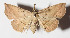  ( - 14-SRNP-47677)  @12 [ ] CreativeCommons  Attribution Non-Commercial Share-Alike (2016) Unspecified Guanacaste Dry Forest Conservation Fund