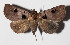  ( - 14-SRNP-47843)  @11 [ ] CreativeCommons  Attribution Non-Commercial Share-Alike (2016) Unspecified Guanacaste Dry Forest Conservation Fund
