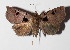  ( - 14-SRNP-47844)  @11 [ ] CreativeCommons  Attribution Non-Commercial Share-Alike (2016) Unspecified Guanacaste Dry Forest Conservation Fund