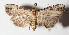  ( - 14-SRNP-47873)  @14 [ ] CreativeCommons  Attribution Non-Commercial Share-Alike (2016) Unspecified Guanacaste Dry Forest Conservation Fund