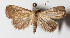  ( - 14-SRNP-47914)  @14 [ ] CreativeCommons  Attribution Non-Commercial Share-Alike (2016) Unspecified Guanacaste Dry Forest Conservation Fund