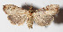  ( - 14-SRNP-47953)  @14 [ ] CreativeCommons  Attribution Non-Commercial Share-Alike (2016) Unspecified Guanacaste Dry Forest Conservation Fund