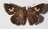  ( - 14-SRNP-5143)  @14 [ ] CreativeCommons  Attribution Non-Commercial Share-Alike (2016) Unspecified Guanacaste Dry Forest Conservation Fund