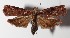  ( - 14-SRNP-5246)  @14 [ ] CreativeCommons  Attribution Non-Commercial Share-Alike (2016) Unspecified Guanacaste Dry Forest Conservation Fund