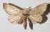  ( - 14-SRNP-5276)  @14 [ ] CreativeCommons  Attribution Non-Commercial Share-Alike (2016) Unspecified Guanacaste Dry Forest Conservation Fund