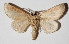  ( - 14-SRNP-5276)  @14 [ ] CreativeCommons  Attribution Non-Commercial Share-Alike (2016) Unspecified Guanacaste Dry Forest Conservation Fund