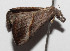  ( - 14-SRNP-55100)  @11 [ ] CreativeCommons  Attribution Non-Commercial Share-Alike (2016) Unspecified Guanacaste Dry Forest Conservation Fund