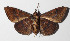  ( - 14-SRNP-55863)  @14 [ ] CreativeCommons  Attribution Non-Commercial Share-Alike (2016) Unspecified Guanacaste Dry Forest Conservation Fund