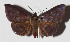  ( - 14-SRNP-55865)  @14 [ ] CreativeCommons  Attribution Non-Commercial Share-Alike (2016) Unspecified Guanacaste Dry Forest Conservation Fund