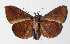  ( - 14-SRNP-55865)  @14 [ ] CreativeCommons  Attribution Non-Commercial Share-Alike (2016) Unspecified Guanacaste Dry Forest Conservation Fund