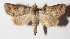  ( - 14-SRNP-55870)  @13 [ ] CreativeCommons  Attribution Non-Commercial Share-Alike (2016) Unspecified Guanacaste Dry Forest Conservation Fund
