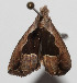  ( - 14-SRNP-56293)  @12 [ ] CreativeCommons  Attribution Non-Commercial Share-Alike (2016) Unspecified Guanacaste Dry Forest Conservation Fund