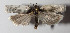  ( - 14-SRNP-5662)  @11 [ ] CreativeCommons  Attribution Non-Commercial Share-Alike (2016) Unspecified Guanacaste Dry Forest Conservation Fund