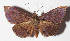  ( - 14-SRNP-57064)  @14 [ ] CreativeCommons  Attribution Non-Commercial Share-Alike (2016) Unspecified Guanacaste Dry Forest Conservation Fund