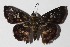  ( - 14-SRNP-57559)  @13 [ ] CreativeCommons  Attribution Non-Commercial Share-Alike (2016) Unspecified Guanacaste Dry Forest Conservation Fund