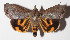  ( - 14-SRNP-57664)  @14 [ ] CreativeCommons  Attribution Non-Commercial Share-Alike (2016) Unspecified Guanacaste Dry Forest Conservation Fund