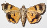  ( - 14-SRNP-57664)  @14 [ ] CreativeCommons  Attribution Non-Commercial Share-Alike (2016) Unspecified Guanacaste Dry Forest Conservation Fund