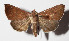  ( - 14-SRNP-57973)  @14 [ ] CreativeCommons  Attribution Non-Commercial Share-Alike (2016) Unspecified Guanacaste Dry Forest Conservation Fund