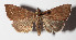  ( - 14-SRNP-58022)  @14 [ ] CreativeCommons  Attribution Non-Commercial Share-Alike (2016) Unspecified Guanacaste Dry Forest Conservation Fund